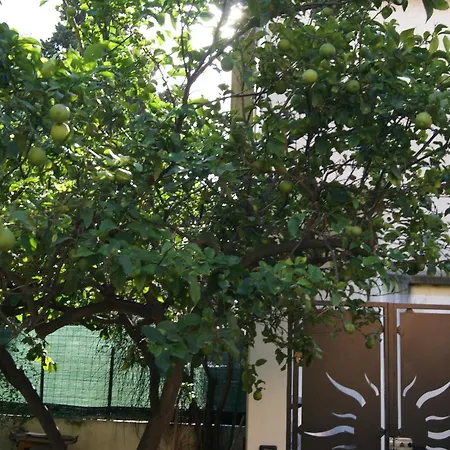 Bramasole